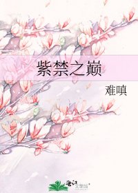 《紫禁之巔》
