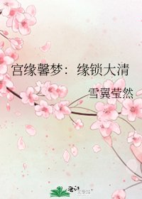 《宮緣馨夢:緣鎖大清》