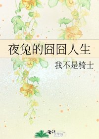 《夜兔的囧囧人生》