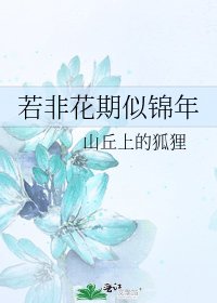 若非花期似錦年