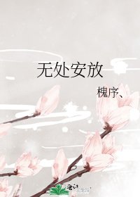 《無處安放》