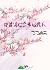 《你曾說過會永遠愛我》