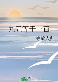 《九五等於一百》