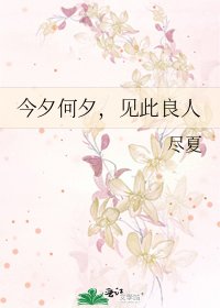 《今夕何夕,见此良人》