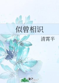 《似曾相識》