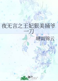 《夜無言之王妃狠美捅爺一刀》