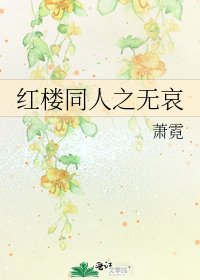 《紅樓同人之無哀》