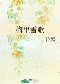 《梅里雪歌》