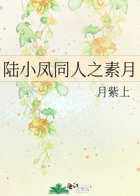 《陸小鳳同人之素月》
