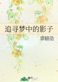 《追尋夢中的影子》
