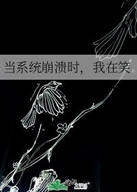 《当系统崩溃时,我在笑》