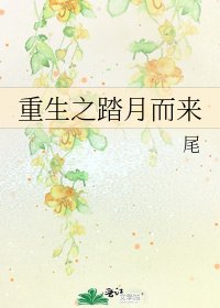 《重生之踏月而來》