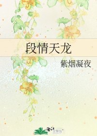 《段情天龍》