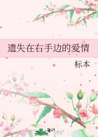 《遺失在右手邊的愛情》