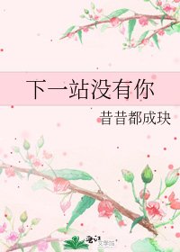 《下一站沒有你》
