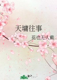 《天墉往事》