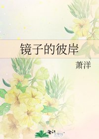 《鏡子的彼岸》