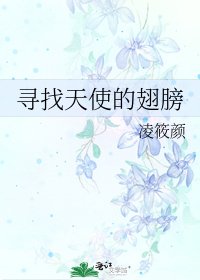 《尋找天使的翅膀》