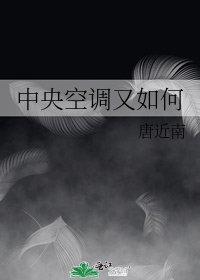 《中央空調又如何》