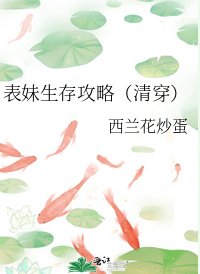 《表妹生存攻略(清穿)》