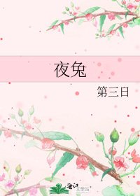 《夜兔》