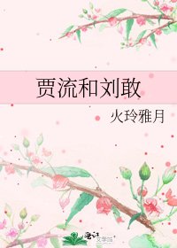 《賈流和劉敢》
