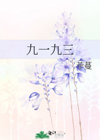 《九一九三》