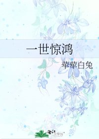 《一世惊鸿》