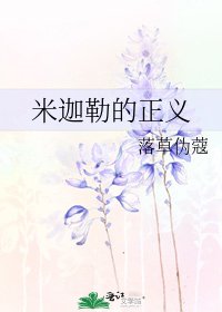 《米迦勒的正義》