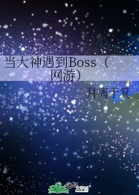 當大神遇到Boss（網遊）