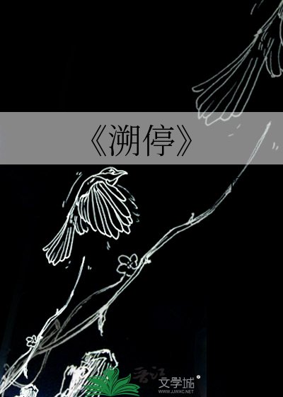 《溯停》