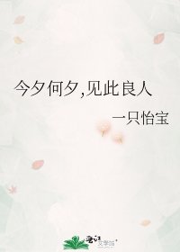 《今夕何夕,见此良人》