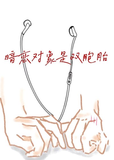 《暗戀物件是雙胞胎》