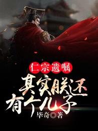 《仁宗遺囑:其實朕還有個兒子!》