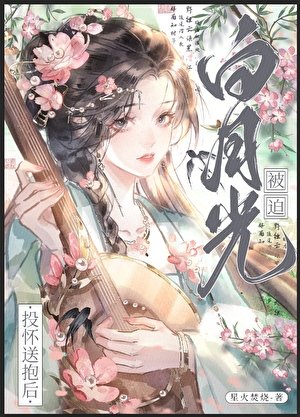 《皎月入我懷》