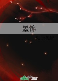 《墨锦》