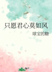 《只愿君心莫如风》