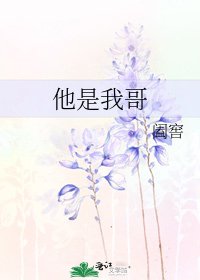 《他是我哥》