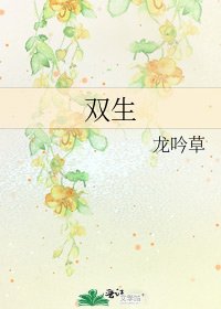 《双生》