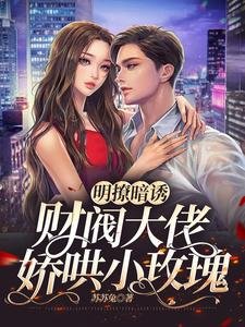 明撩暗诱,财阀大佬娇哄小玫瑰