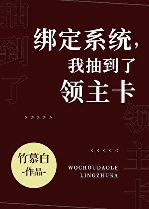 《繫結系統,抽到了領主卡》
