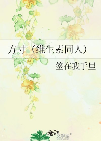 《方寸(維生素同人)》
