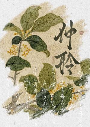《是龙傲天的恶毒青梅又如何》