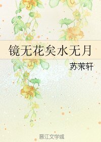 《鏡無花矣水無月》