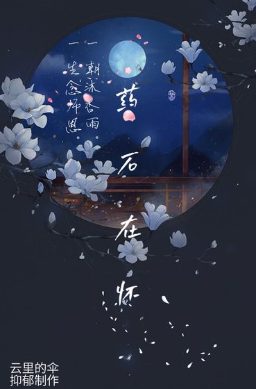 药石在怀