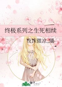 终极系列之生死相续